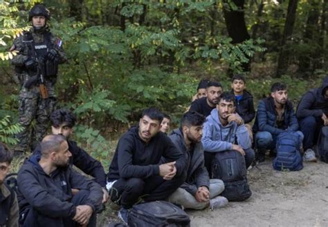 Serbian police detain 6 people after deadly shooting between migrants near Hungary border